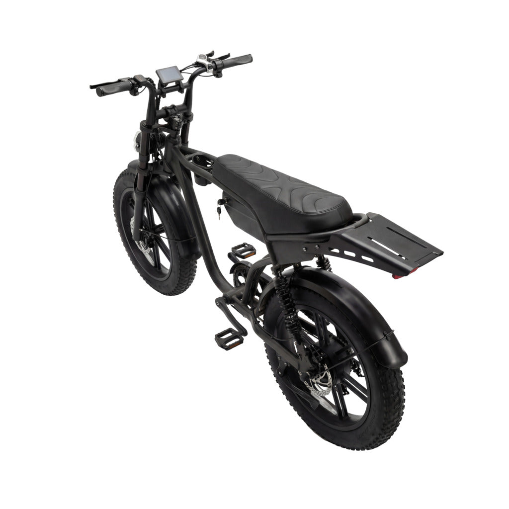 Rower Elektryczny Rapid Ranger 250w/750w